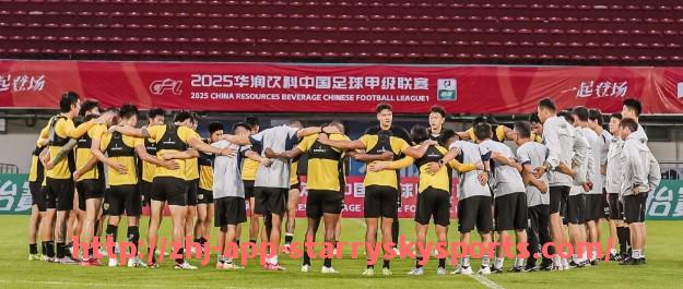 星空体育app-法甲球队比赛策略制定与临场调整实例